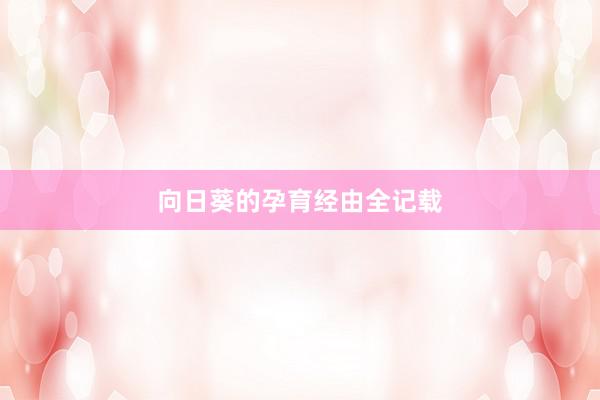 向日葵的孕育经由全记载
