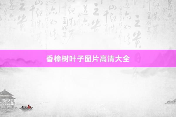 香樟树叶子图片高清大全