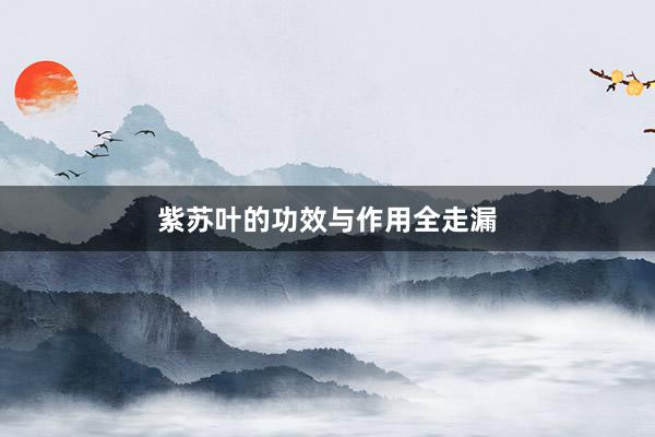 紫苏叶的功效与作用全走漏